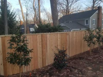 Wooden Fencing