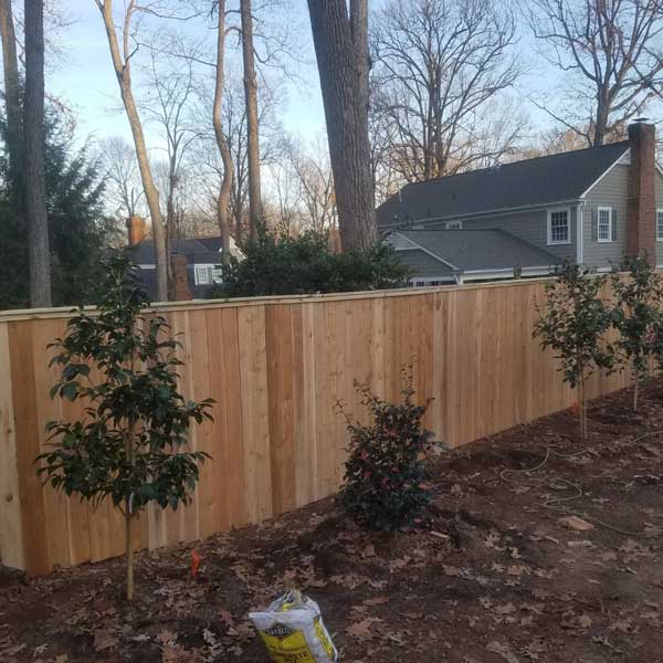 Wooden Fencing